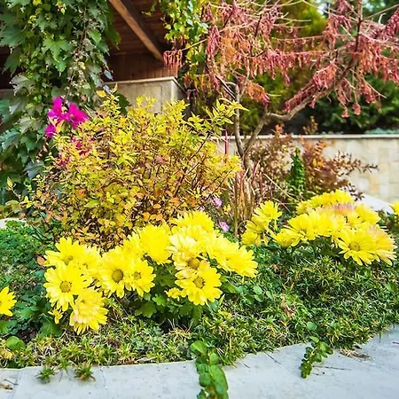 Apartman Mountain Escape & View & Relax